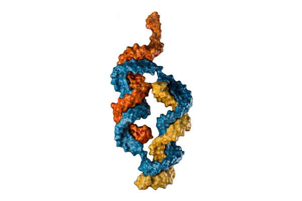 Colorful 3D computer-generated image of Switch’s RNAi platform